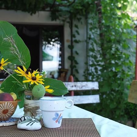 Hikers Hostel Βελίκο Τίρνοβο Εξωτερικό φωτογραφία